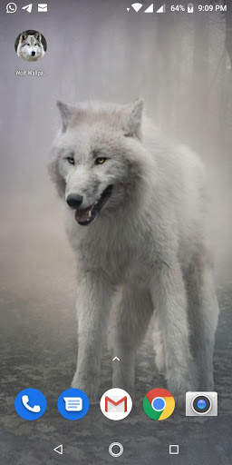Free Wolf Wallpapers HD screenshot 8