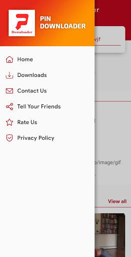Pinterest Video Downloader screenshot 4
