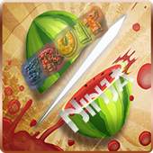 Fruit Ninja Slice 1.4