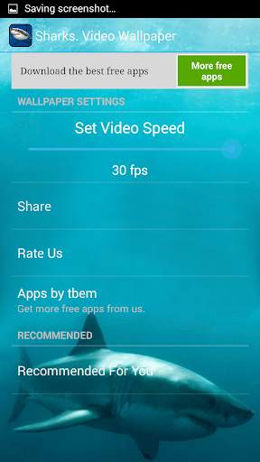 Sharks. Video Wallpaper screenshot 8