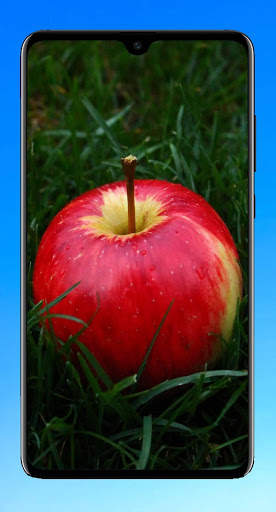 Apple Wallpaper 4K screenshot 13