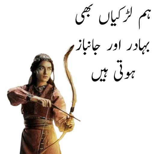 Funny Urdu Stickers 1.0