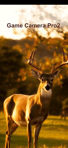 Game Camera Pro2 screenshot 1