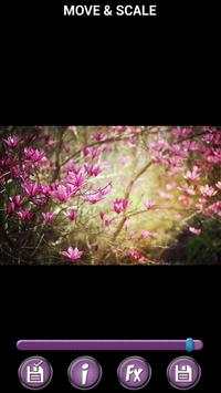 Spring Flowers Backgrounds HD screenshot 3