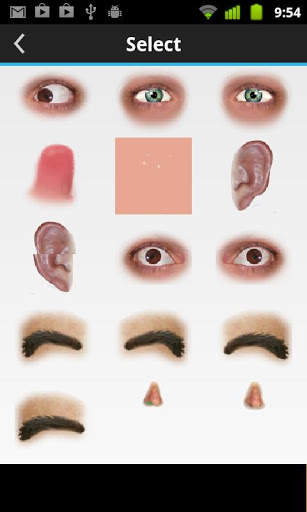 Face Changer Video screenshot 4