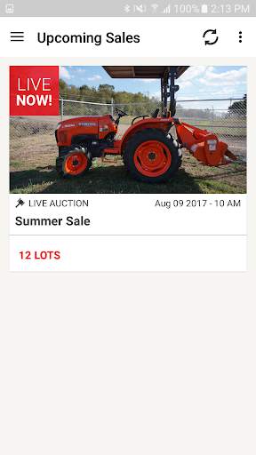 Mayco Auctions screenshot 1