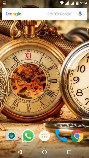 Still Life Wallpapers HD скриншот 3