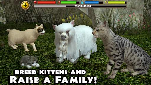 Stray Cat Simulator screenshot 12