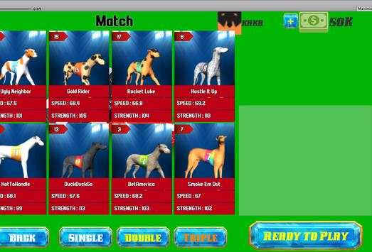 Dog Racing Dudu screenshot 3
