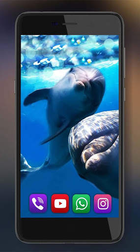 Dolphins Live Wallpaper screenshot 1