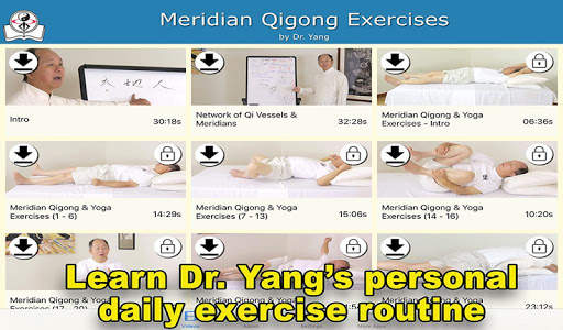 Meridian Qigong Exercises screenshot 1