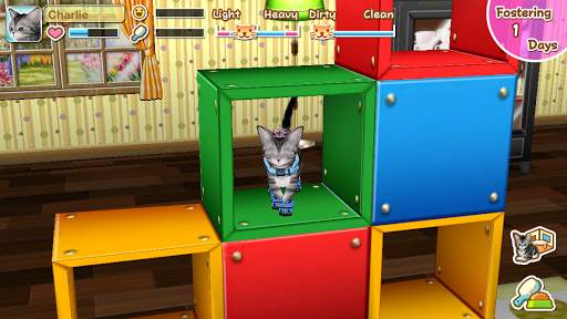 My Cat My Room screenshot 1