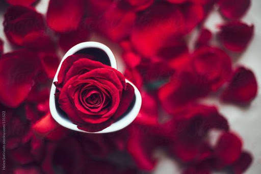 Flowers and Roses Live Wallpaper screenshot 1