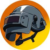 Companion for PUBG 0.0.8