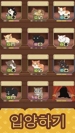 Furistas 퓨리스타스 고양이 카페 screenshot 2