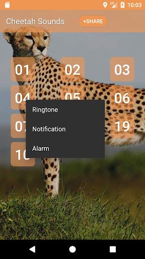Cheetah (Animal) Sounds screenshot 2