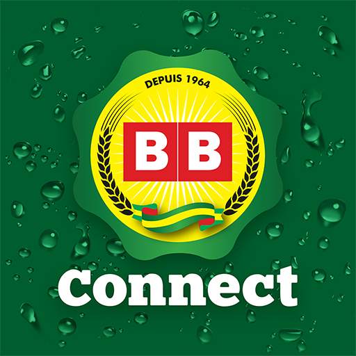 BB CONNECT 1.3