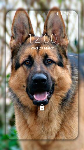 German Shepherd Wallpapers  (backgrounds & themes) screenshot 1