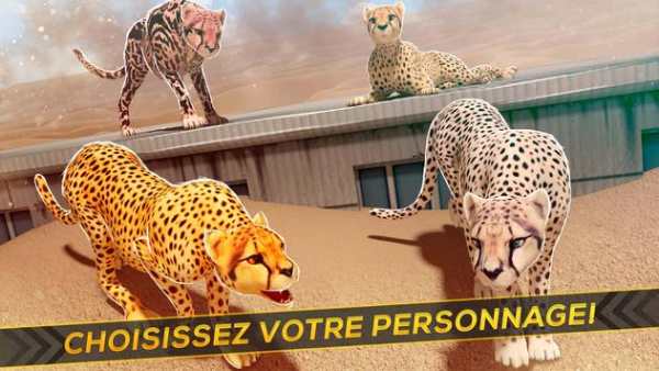 Léopards contre Lions! screenshot 9