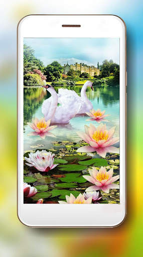 Lotus and Swan Live Wallpaper screenshot 2