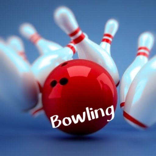 3D Pro Bowling 1.3.2