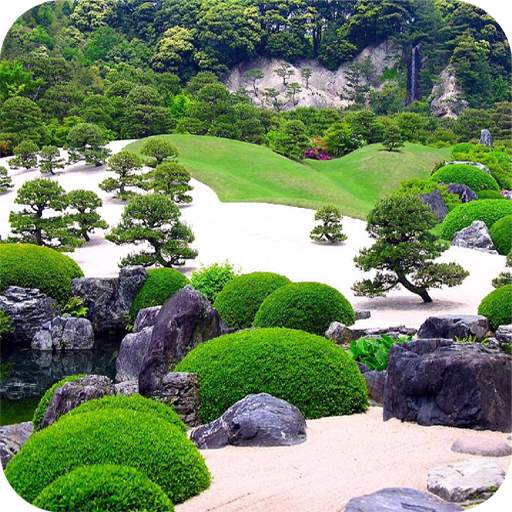 1000   Garden Full HD Wallpaper 1.11