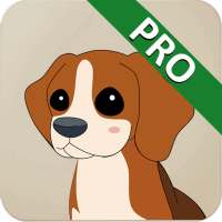My Protector Pro