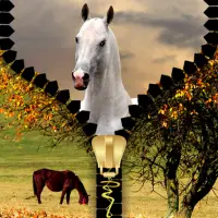 Horses Zipper Lock Screen icon