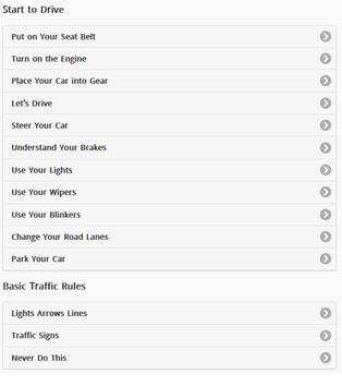 Driving Lessons screenshot 2