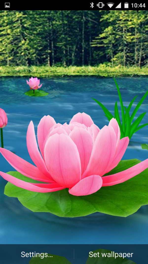Flower Live Wallpaper 3D screenshot 2