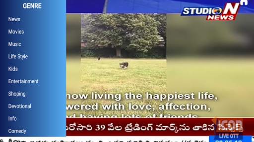 ICON LIVE TV screenshot 1