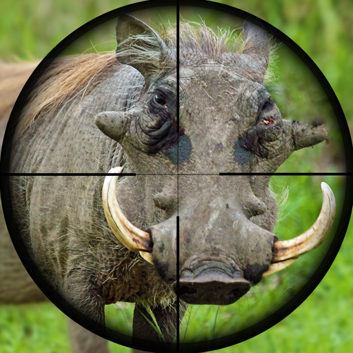 Wild Hunt Pig Sniper Shooting icon