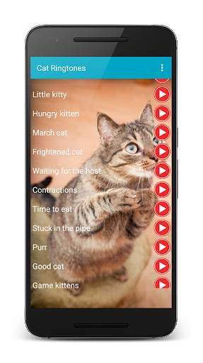 Cat Sounds Ringtones Purr screenshot 7