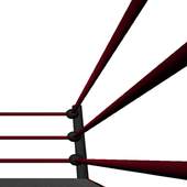 Watch Wrestling HD (WWE & UFC) 1.0.2