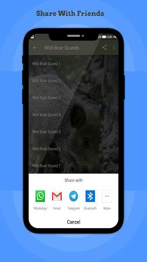 Wild Boar Sounds 2 تصوير الشاشة