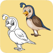Bird Colouring icon