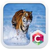 Tiger Theme C Launcher 4.8.7