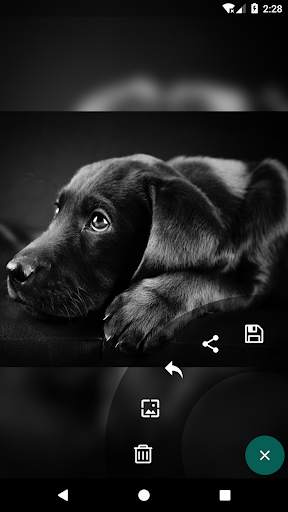 StatSteal - Status Saver for Whatsapp (No ads) screenshot 2