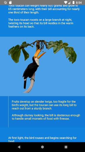 Wild Birds Atlas screenshot 5