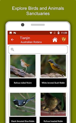 Tianjin Travel & Explore, Offl screenshot 13