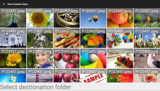 Dlna Camera Sync screenshot 3
