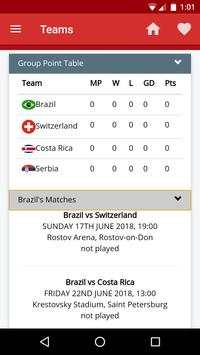 FIFA World Cup 2018 screenshot 5