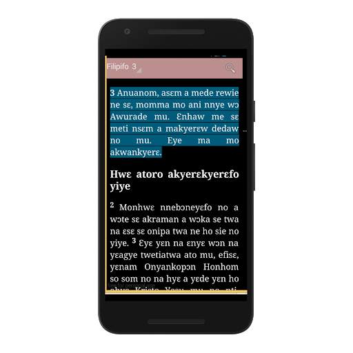 TWI BIBLE (NKWA ASEM) скриншот 3