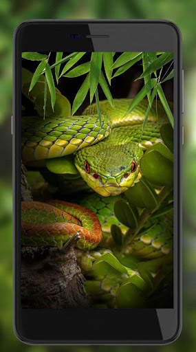 Snakes Best Live Wallpaper screenshot 2