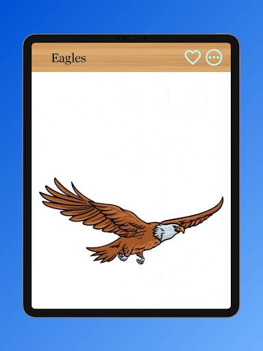 How to Draw Birds of Prey screenshot 16