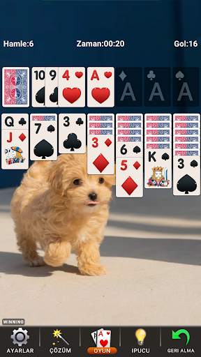 Solitaire: Klasik Kart Oyunu screenshot 6