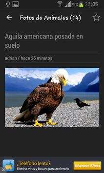 Fotos de Animales screenshot 4