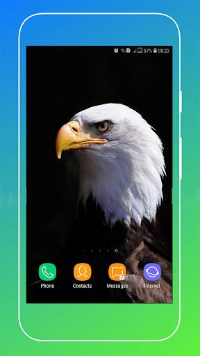 HD Eagle Wallpaper screenshot 7