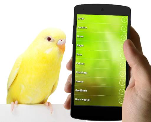 Best Bird Sounds And Ringtones screenshot 1
