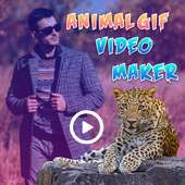 Animal GiF Video Maker logo